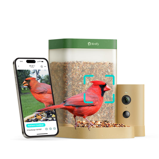 Smart Bird Feeder Camera- A Gift for Calm & Connection